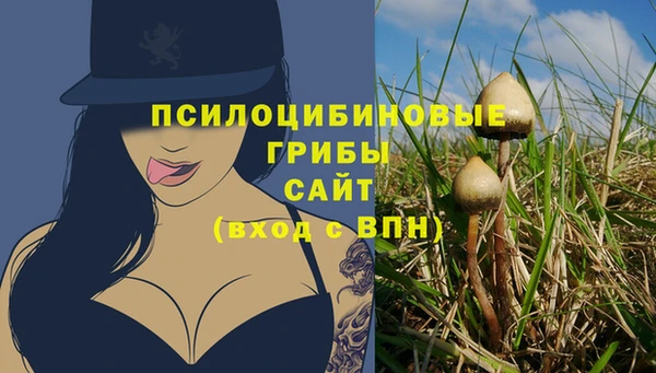 амфетамин Сясьстрой